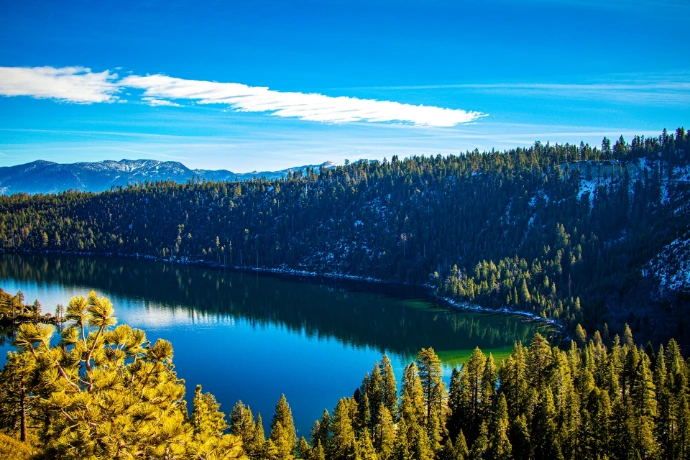 A view of a lake surrounded by pine trees